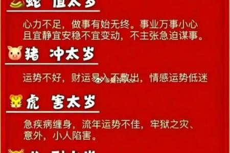 2008年属猪人的命运与性格分析：幸福、乐观与挑战并存