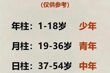 一九七九年出生的人命运解析：探索生命的独特轨迹与机遇