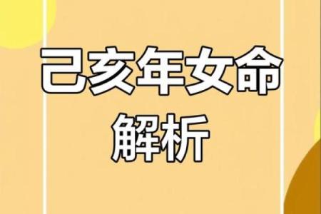 己亥年出生者的命运分析与生活智慧探讨