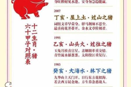 猪年出生的人：独特命理与生活智慧