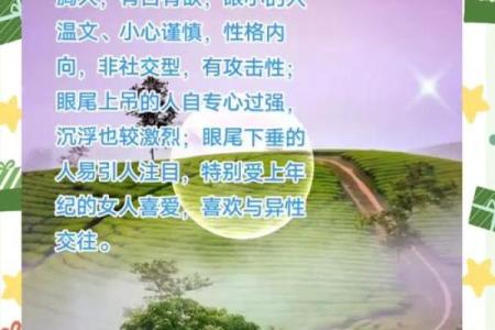 眉毛像在飞的命运解析与人生智慧