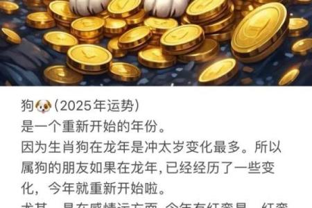 64属狗命理深度解析：性格与运势的奇妙联系