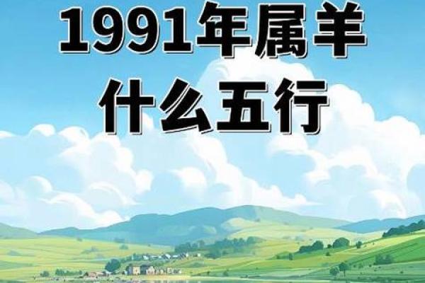 1991年出生的人命运解析：属于哪个命？
