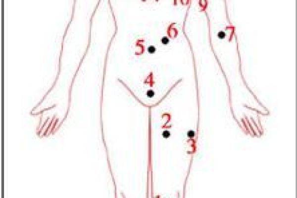 膝盖突出的女人：揭秘她们背后的命运与魅力