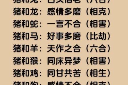 猪年出生的人：1983年猪命的特点与命运解析