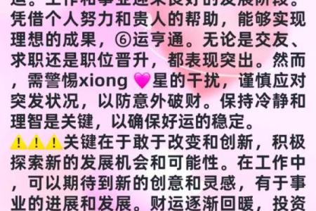 二零一七年属鸡的命理解析与生活指南，共同探索这一年所蕴含的智慧与挑战