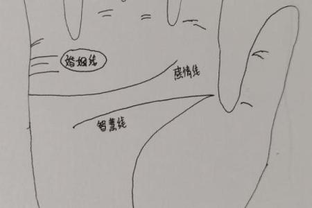 手指长度与男人命运的奥秘探析：你未曾知道的生活哲学