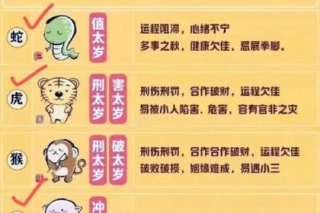 95年11月出生的人命理解读与人生运势