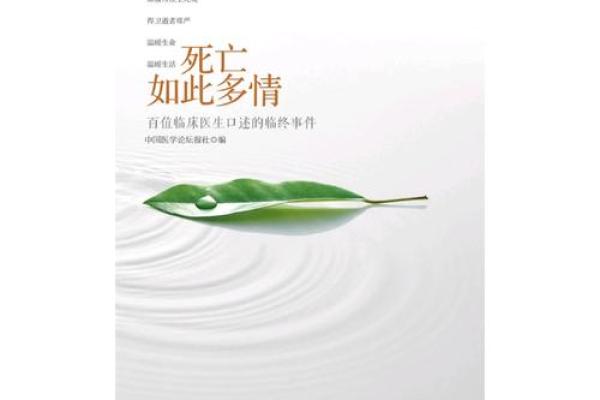 一命抵一命：探寻因果与责任的哲学思考