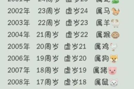 206年是什么年？揭秘这一年的命理与历史！