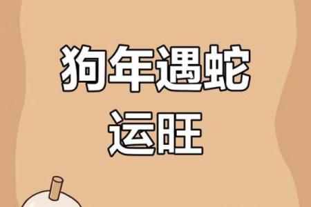 2022年属狗人的命运解析：机遇与挑战并存的年度运势