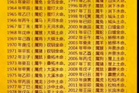 属龙2012水命解析：开创属于你的精彩人生