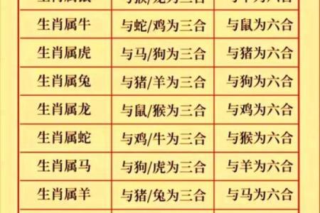 49岁属什么生肖？深入了解生肖与命理之谜