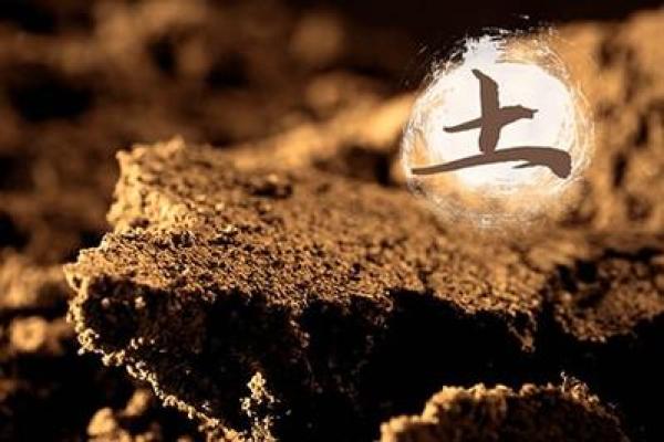 屋上土命男孩与水命女孩的完美合婚之道