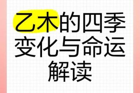 2023年乙木人命运解析：智慧与柔韧并存的精彩人生