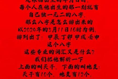 命理揭秘：探寻你的命格与人生轨迹