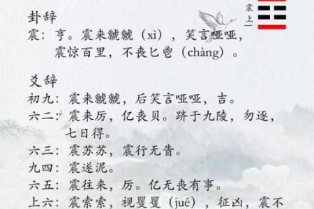 震卦东四命解析：探索命理与个人发展的奥秘