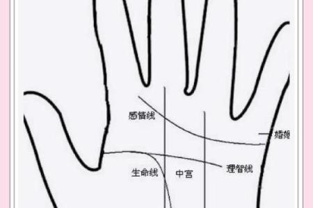 手相揭秘：如何通过手相了解自己的命格与人生轨迹