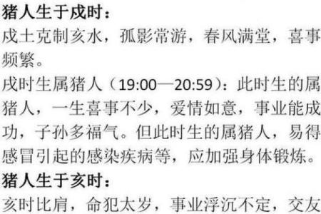 2007年出生的人命运解析：一生中的机遇与挑战
