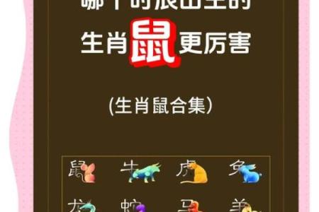 2008年属鼠的人命运分析：智慧与机遇的结合