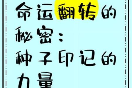 什么危什么命：揭示命运背后的隐秘力量