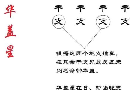 阴历十八出生，揭示你命运的奥秘与机遇