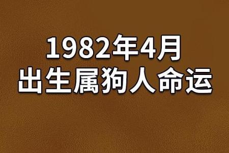 1982年出生的男性：命理解析与人生启示