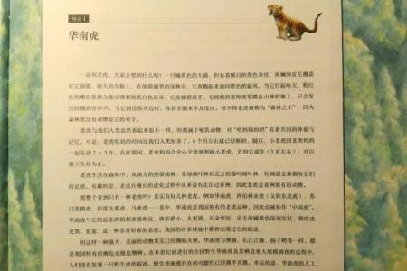 1944虎年出生的命理解析与人生启示