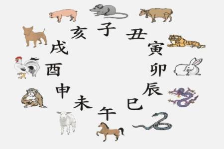 1978年鸡的命运与运势探讨：解读生肖背后的深意