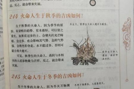适合95火命人的职业与学习方向探讨