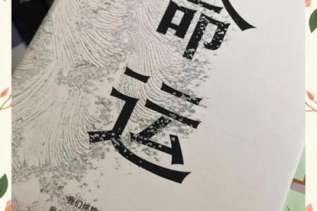 生命的守护：在绝境中的希望与重生