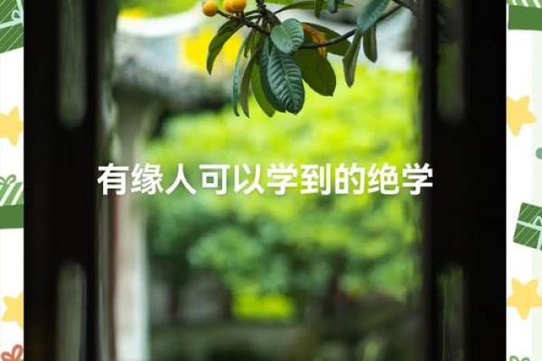 探索甲申丁卯丁亥丙午命格的奥秘与人生启示