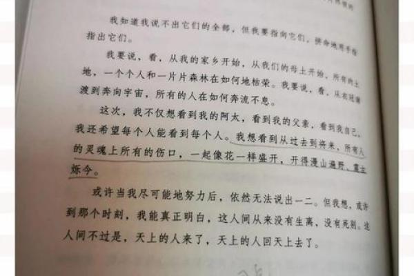 1986年：命运的变革与人生的抉择