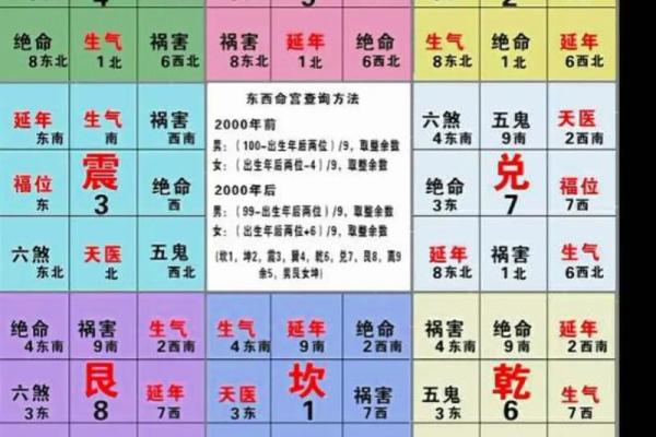 探秘东四命与西四命的奥秘：命理学与人生选择