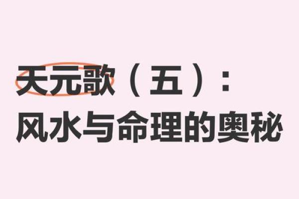 满命与零命：探讨命理的奥秘与生活启示