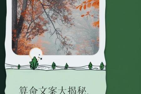 探索命理的奥秘：如何理解命运与人生的暗中契合