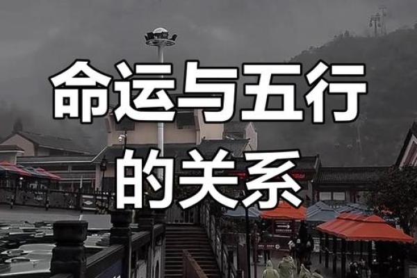 命理学解读:如何通过命理判断命运走势与人生轨迹 命理学解读:如何通过命理判断命运走势与人生轨迹