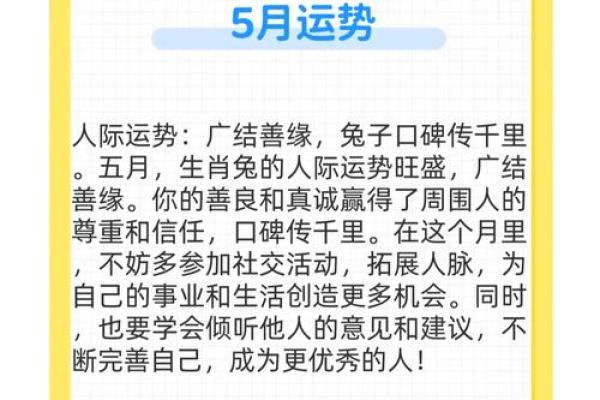 兔年出生的命运解析:从五行看兔年的独特体质与发展趋势 兔年出生的命运解析:从五行看兔年的独特体质与发展趋势