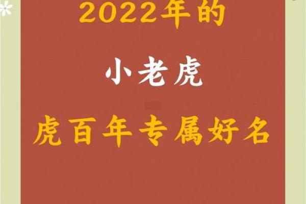 2022年虎宝宝的命运与成长：探索未来的无限可能