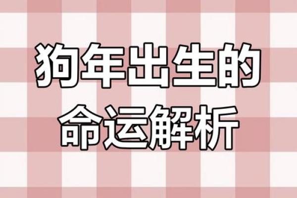 虚岁四十属狗人的命运解析:揭秘狗年人的性格与运势! 虚岁四十属狗人的命运解析:揭秘狗年人的性格与运势!
