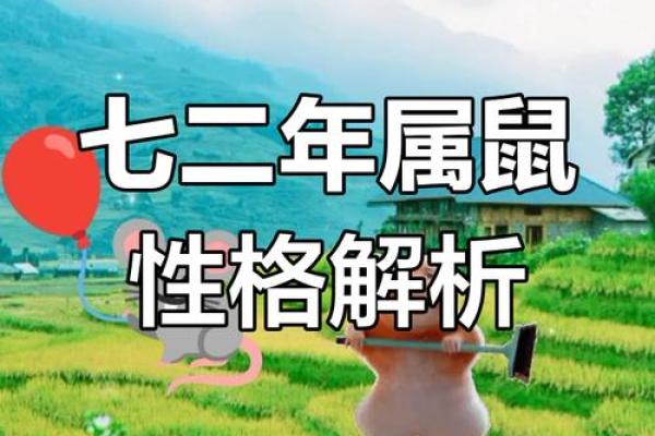 天生流浪命,生肖的命运与自由之旅 天生流浪命,生肖的命运与自由之旅