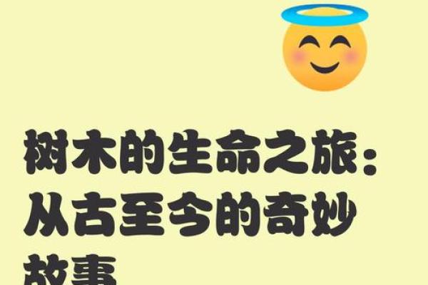 木命女孩的魅力与特点:探寻生命之树的力量与美丽 木命女孩的魅力与特点:探寻生命之树的力量与美丽