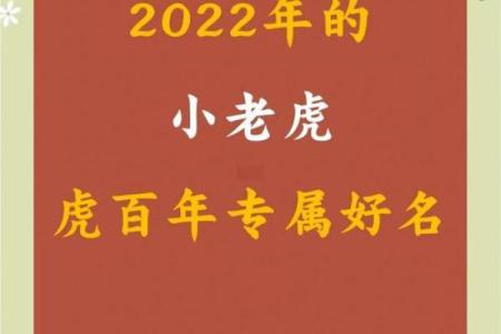 2022年虎宝宝的命运与成长：探索未来的无限可能