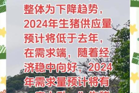 2007年土猪命运解析：探索土猪的性格与人生道路