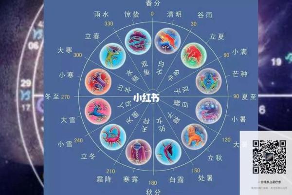 1991年10月出生的命运与个性解析：星座与命理的交汇之旅