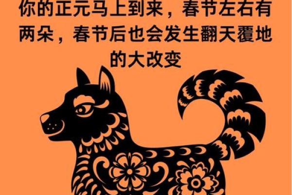 1972年属鼠:洞察命运,书写辉煌人生的秘诀 1972年属鼠:洞察命运,书写辉煌人生的秘诀