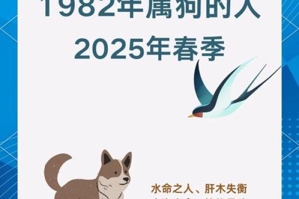 1972年属狗人的命运解析:你是否心怀梦想? 1972年属狗人的命运解析:你是否心怀梦想?