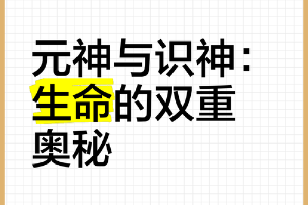神子1命要补2命吗?探讨命理学的奇妙与复杂性 神子1命要补2命吗?探讨命理学的奇妙与复杂性