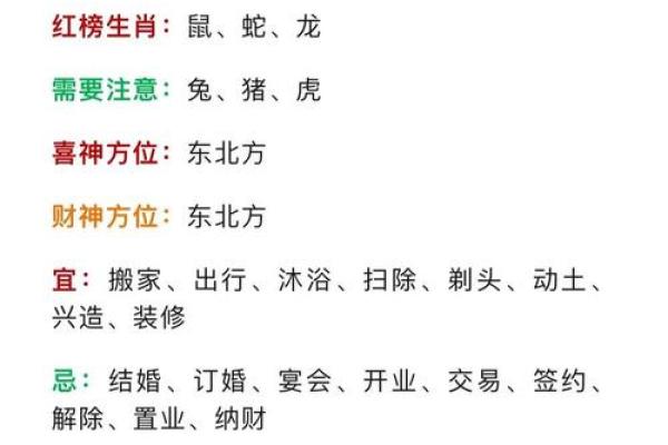1987年2月29日出生兔年人命运分析与性格特点 1987年2月29日出生兔年人命运分析与性格特点