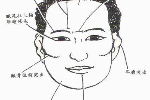 耳朵向前长,命运与性格的深刻关联 耳朵向前长,命运与性格的深刻关联